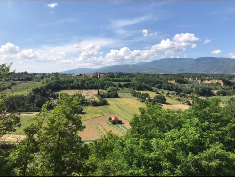 Villa La Torretta Laterina Esterno foto